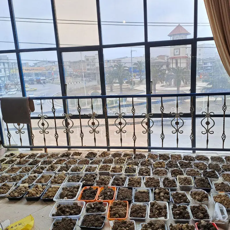 تصویر 3